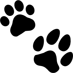 Preloader